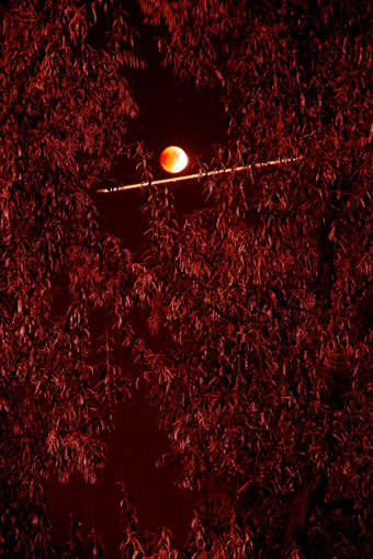 BLMnVPlred_340x510